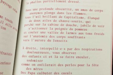 « Les féministes t’encouragent à quitter ton mari, tuer tes enfants, pratiquer la sorcellerie, détruire le capitalisme et devenir trans-pédé-gouine » d’Alex Tamécylia