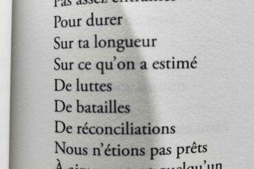 « Permettez-moi de palpiter » de Pauline Picot