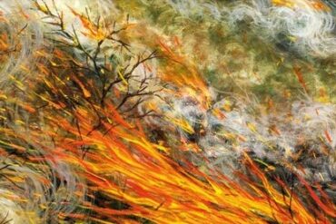 « Trois fois la colère » de Laurine Roux