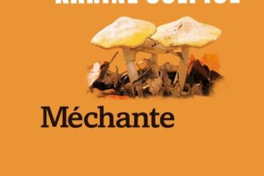 « Mouette » de Dimitri Rouchon-Borie